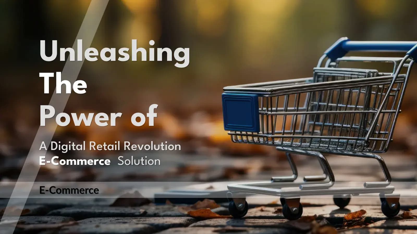 E-Commerce-Unleashing-the-Power-of