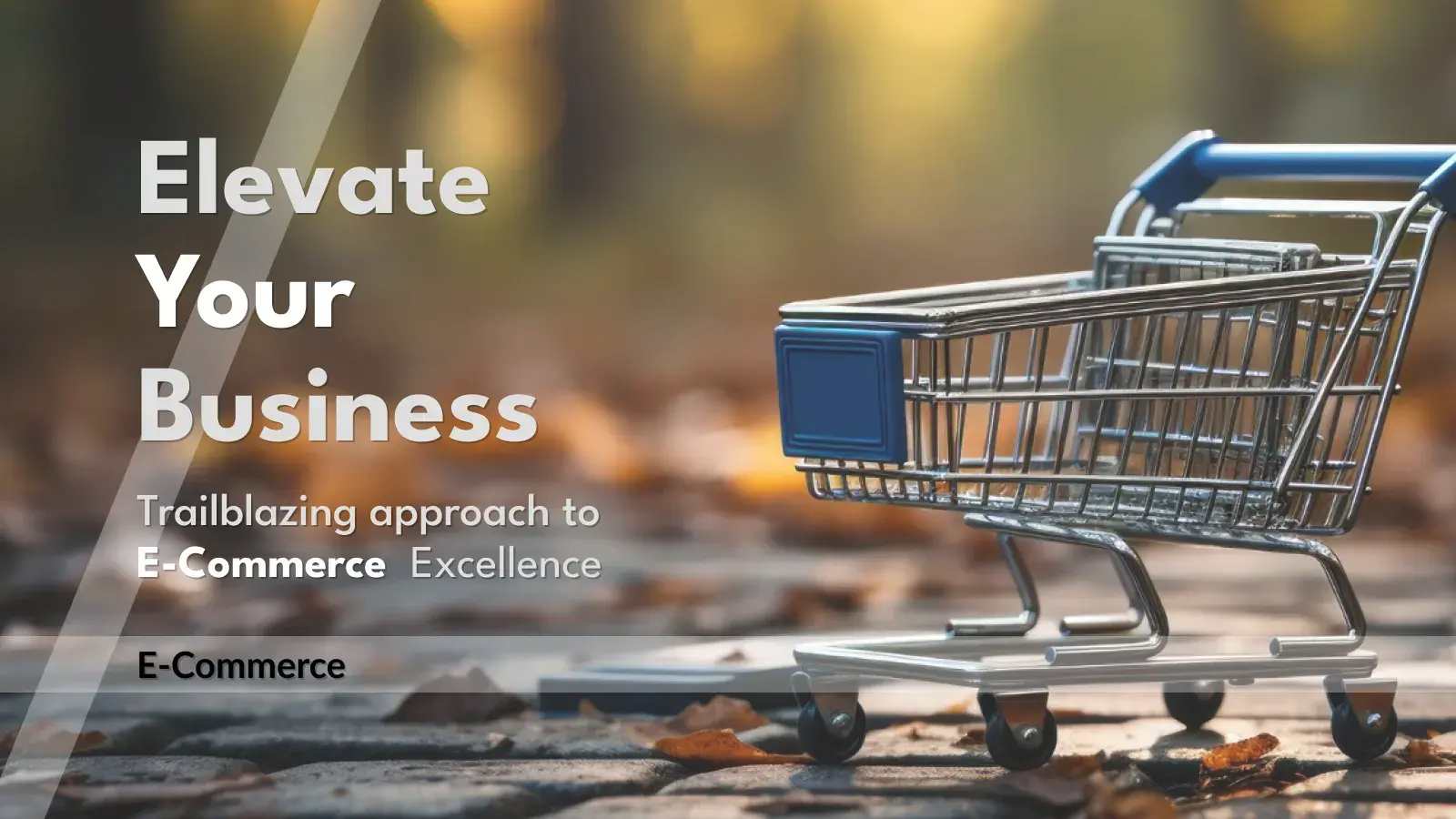 E-Commerce-Elevate-Your-Business