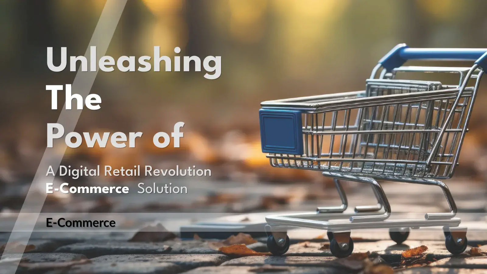E-Commerce-Unleashing-the-Power-of