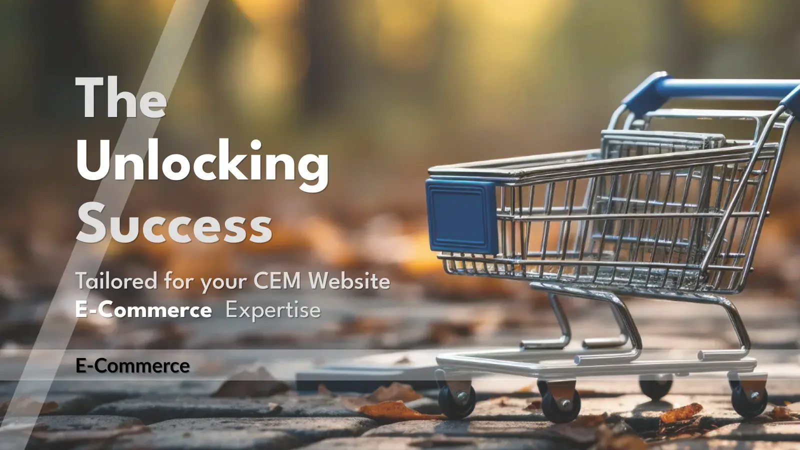 E-Commerce-Unlocking-Success